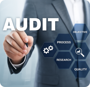 IT Audit Service & Support